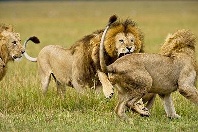 克苏鲁风恐怖冒险游戏《Eresys》4月21日登陆Steam