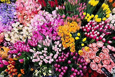 沙盒模拟游戏《心岛》Steam页面上线 支持中文